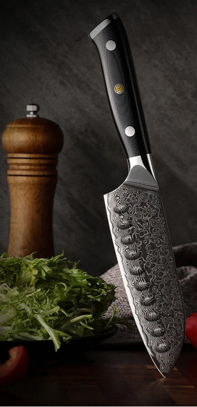 Couteau Santoku Manche Ergonomique en Bois Poli