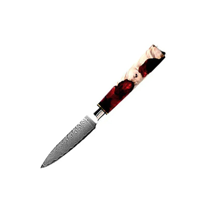 Couteaux Japonais Manche Résine Bois Coloré
